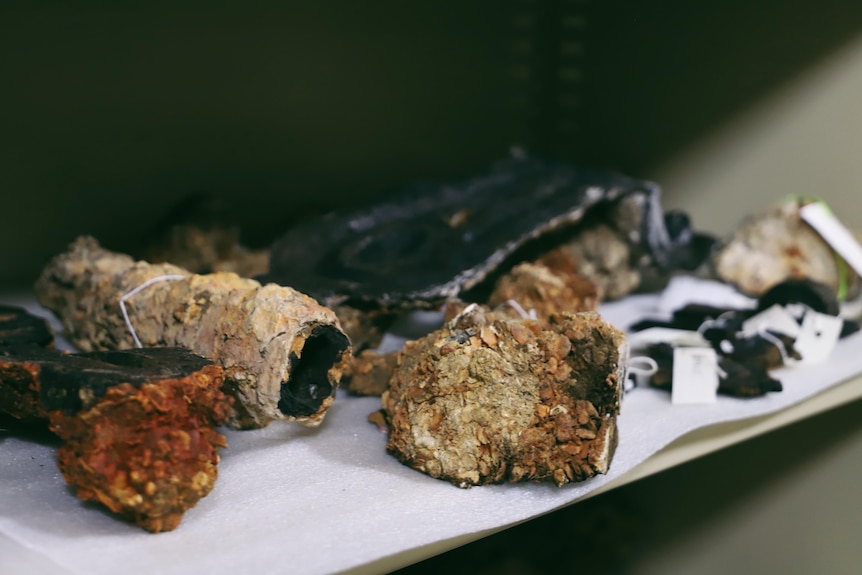 Items fond on a ship, covered in residual from being underwater