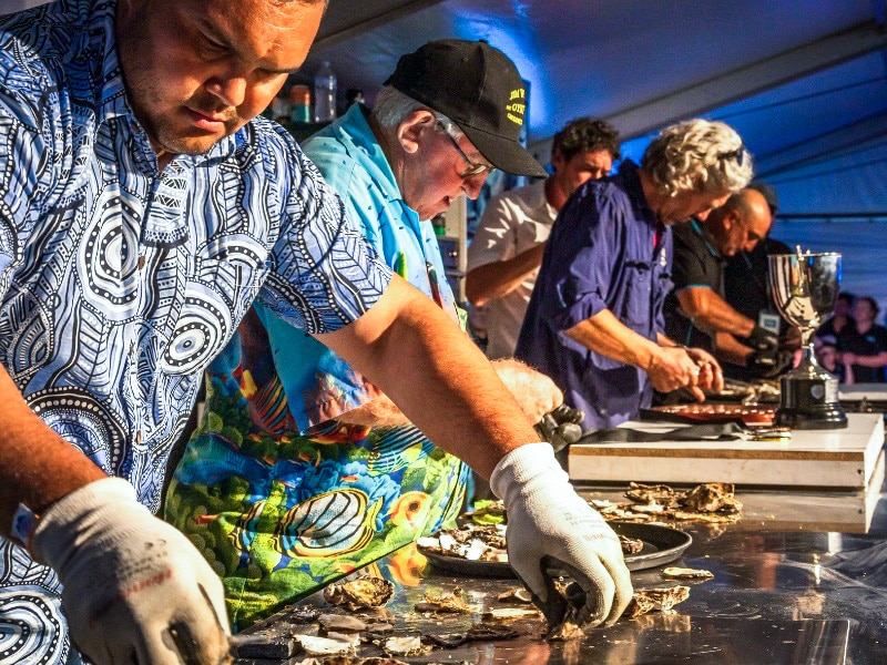 Men shuck oysters in a row.