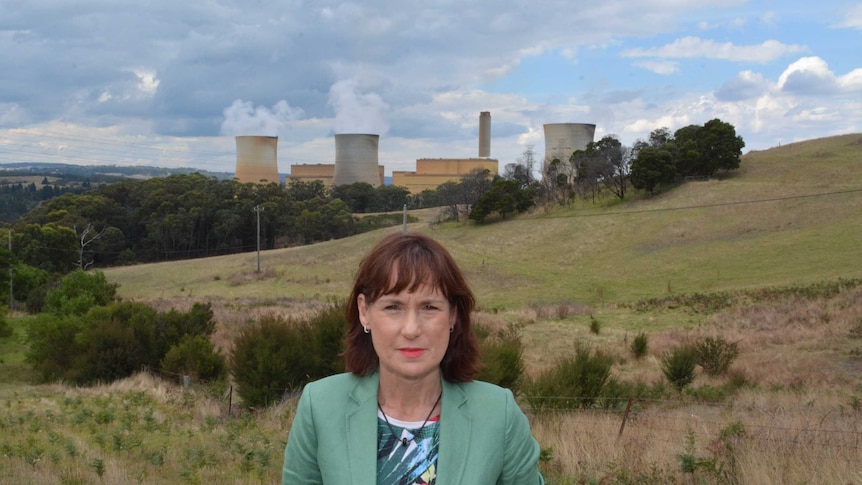 A woman standing with a field and a power station behind her