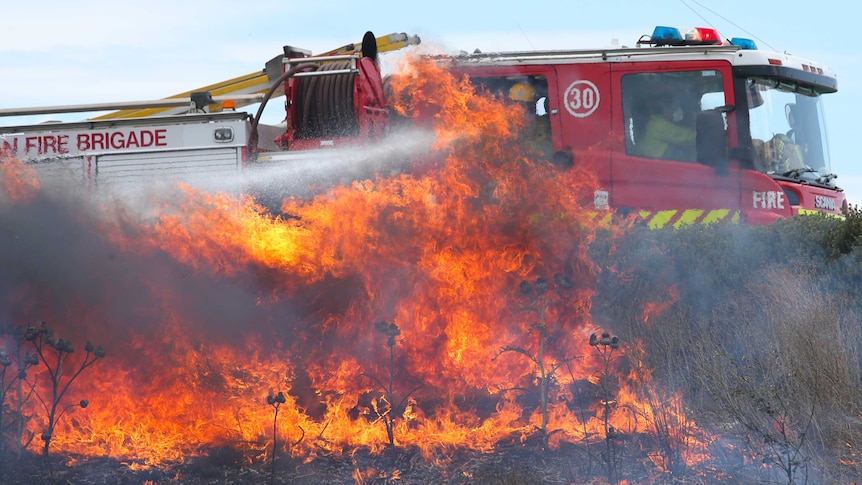 Epping bushfire