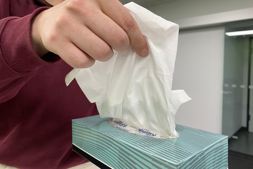 A person's hand pulling a tissue out of a box