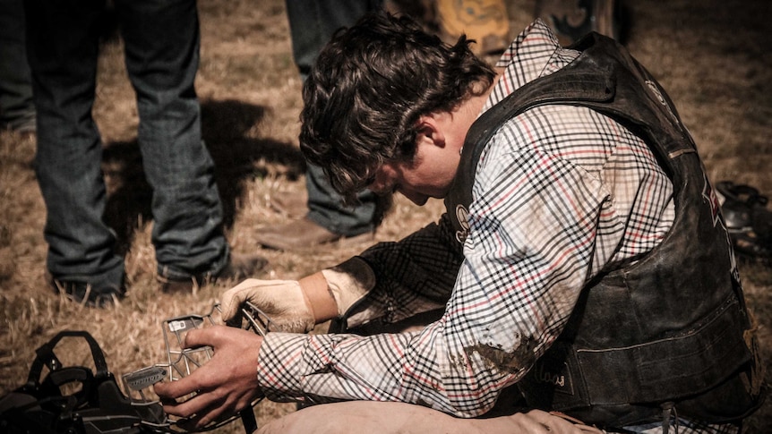 Cowboy preparing to ride.