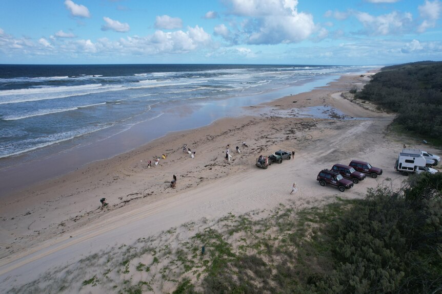 A drone shot of several cars on a beach and people picking up bags of rubbish.