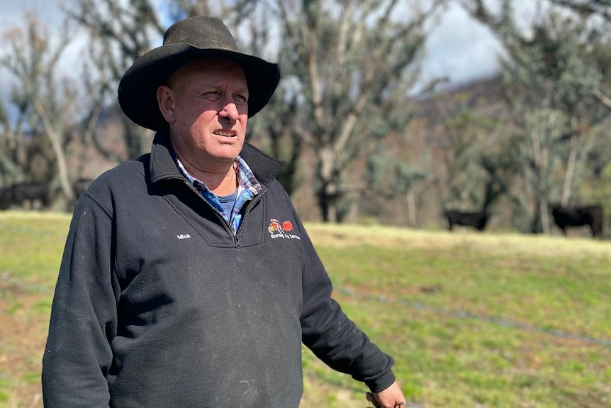 A man wearing a broad-brimmed hat stands in a paddock.