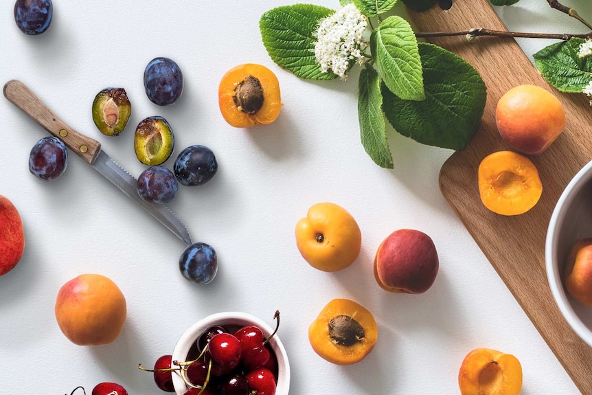 An assortment of stone plums, apricots, nectarines, peaches and cherries laid out on a table.