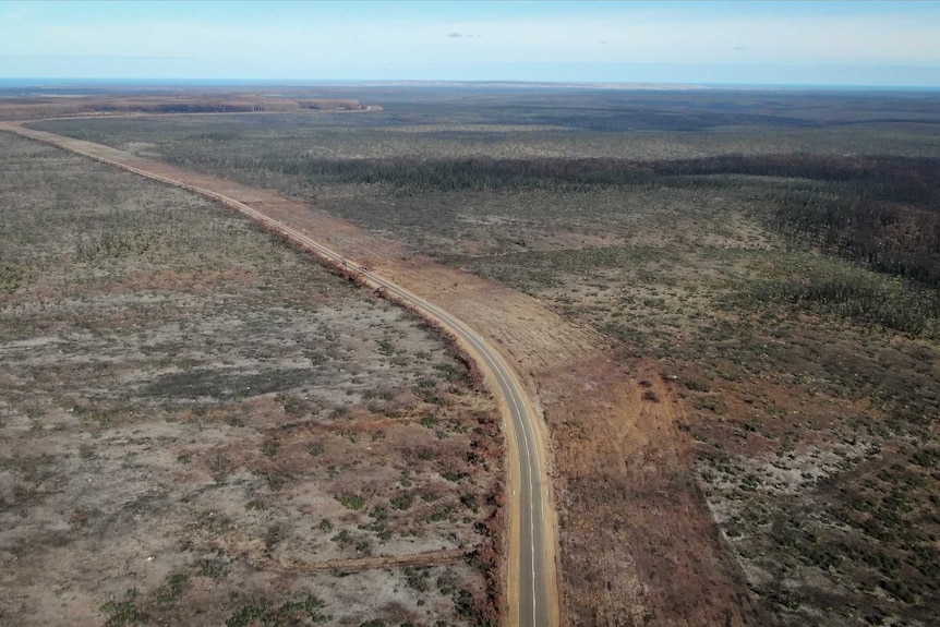 A road winding between fire-damaged land and trees