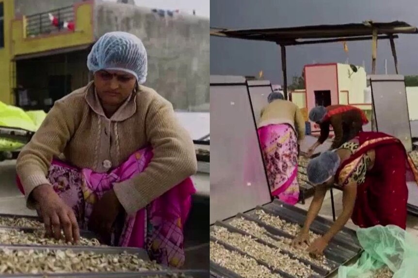 Two images of Indian women using solar powered dehydrators, with dried food. 