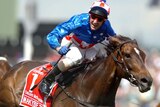 Makybe Diva wins 2005 Melbourne Cup