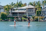 Two people on stand up paddleboards in water