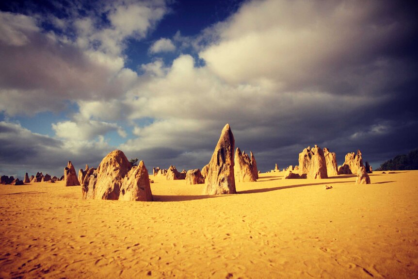 The limestone formations known as the Pinnacles, north of Perth