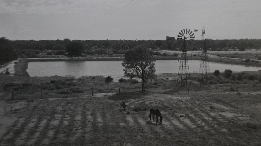 The dam at Noonbah Station in outback Queensland in the 1960s