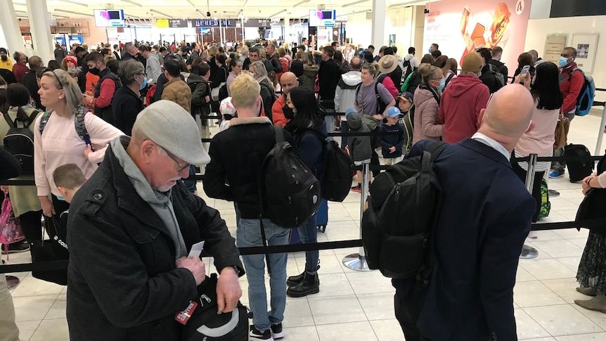 people in long snaking queues pulling luggages