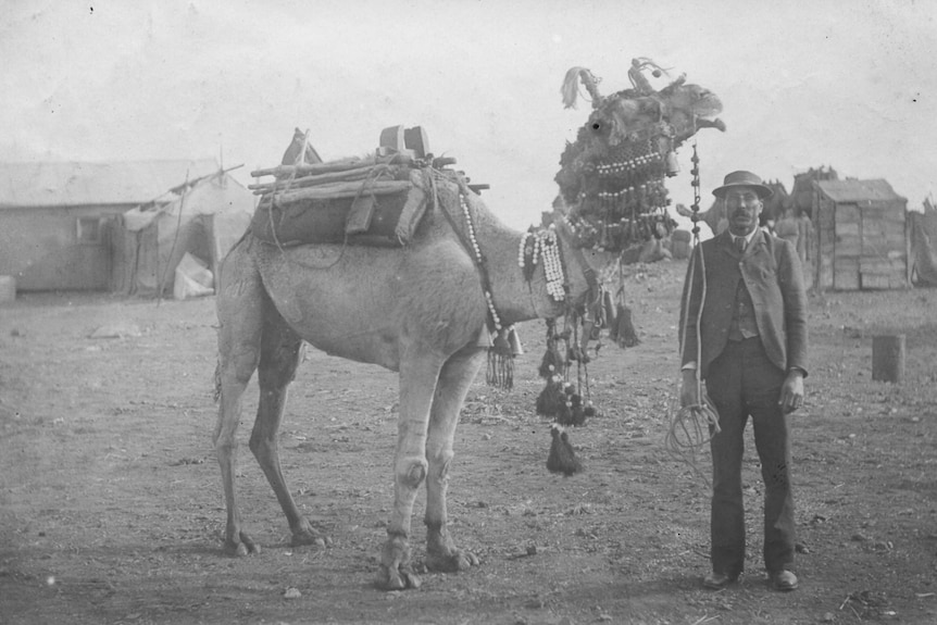 An Afghan man stands with a decorated camel at a camp in Coolgardie in 1897.