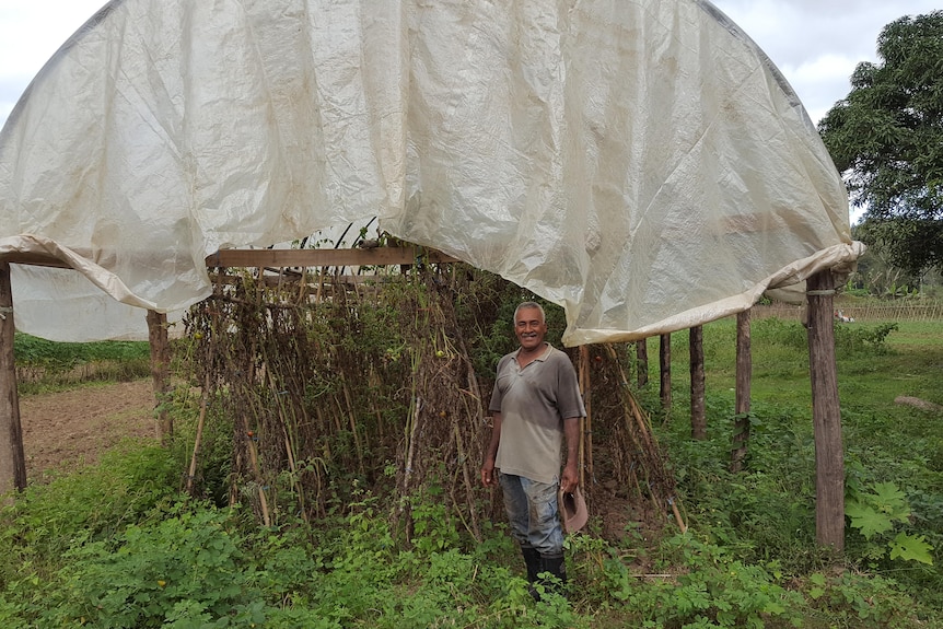 Farmer stands smiling in front of protected cropping structure. 