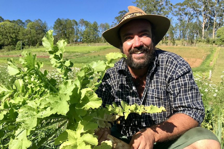 A smiling bearded farmer in a broad-brimmed hat crouches holds a leafy daikon radish in a hilly paddock