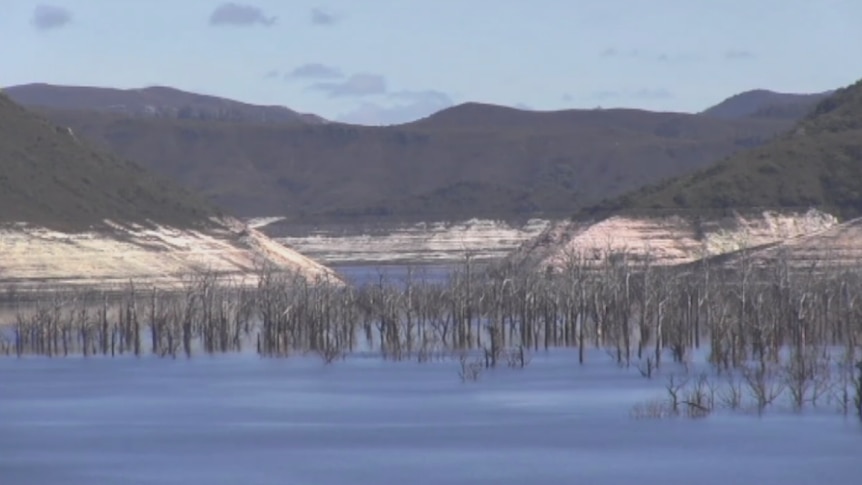 Trees at bottom of Lake Gordon dam visible due to low water level.