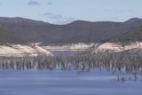 Trees at bottom of Lake Gordon dam visible due to low water level.