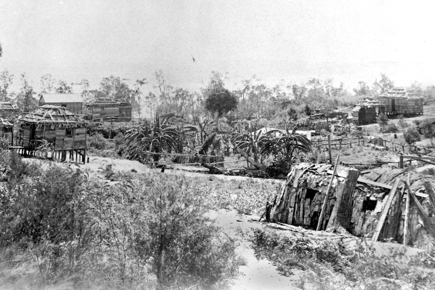 View of thatched shelters surrounded by tropical trees