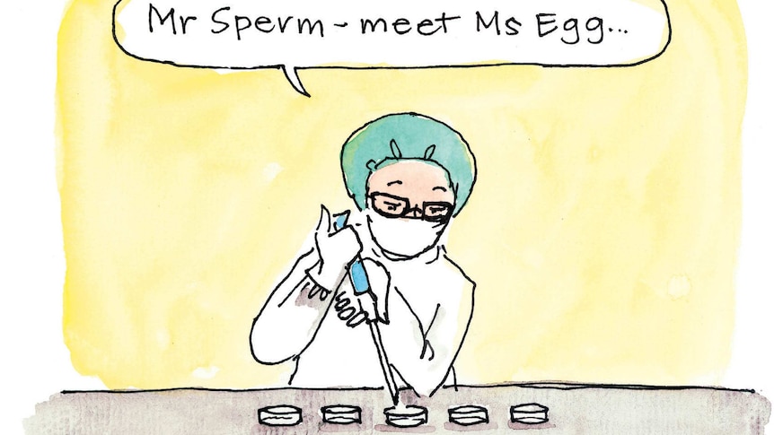 Fiona Katauskas explains IVF