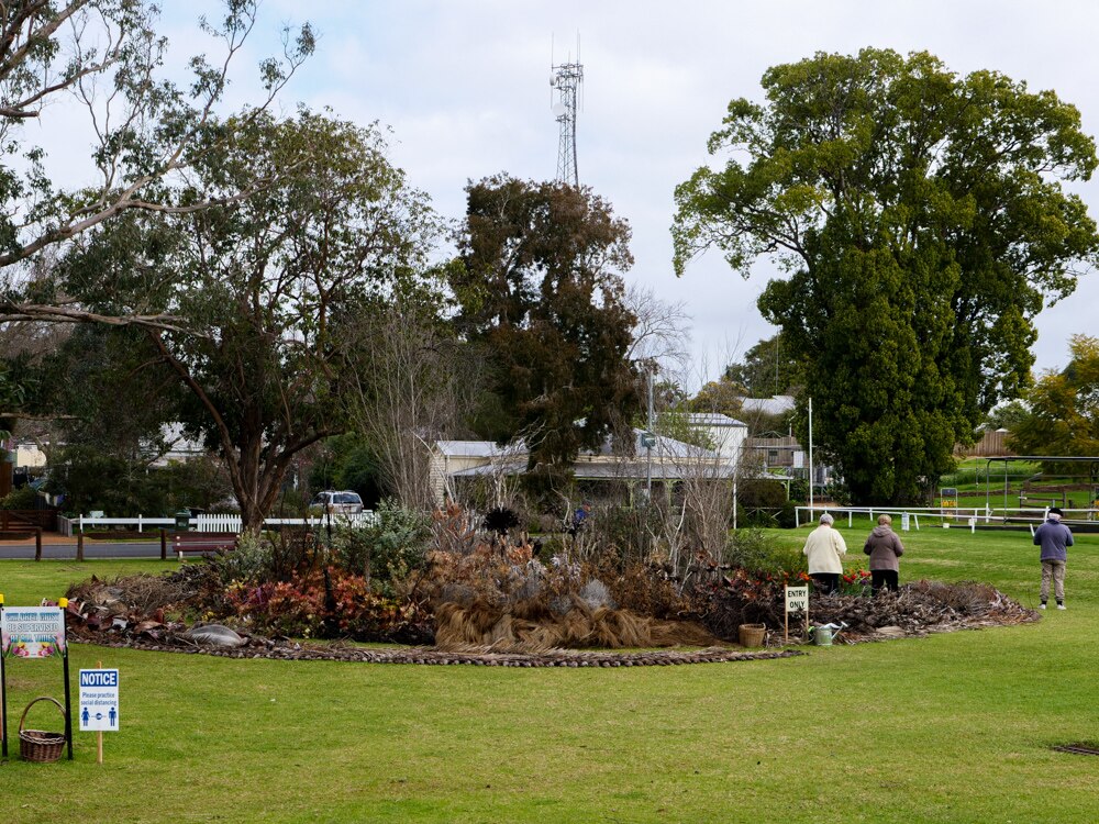 Thousands Of Tulips Help To Keep Nannup Buzzing During Coronavirus Downturn Abc News