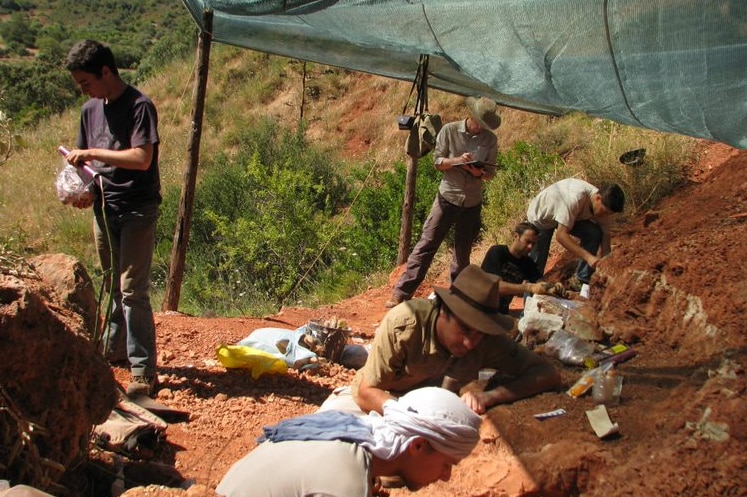 Palaeontogists excavating site in Portugal