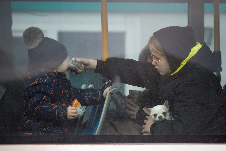 A refugee holding a small dog gives a sip of tea to a toddler sitting in front of her on a train