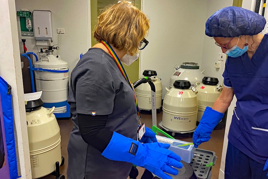 Two women in masks and gloves stand among tanks in a lab.