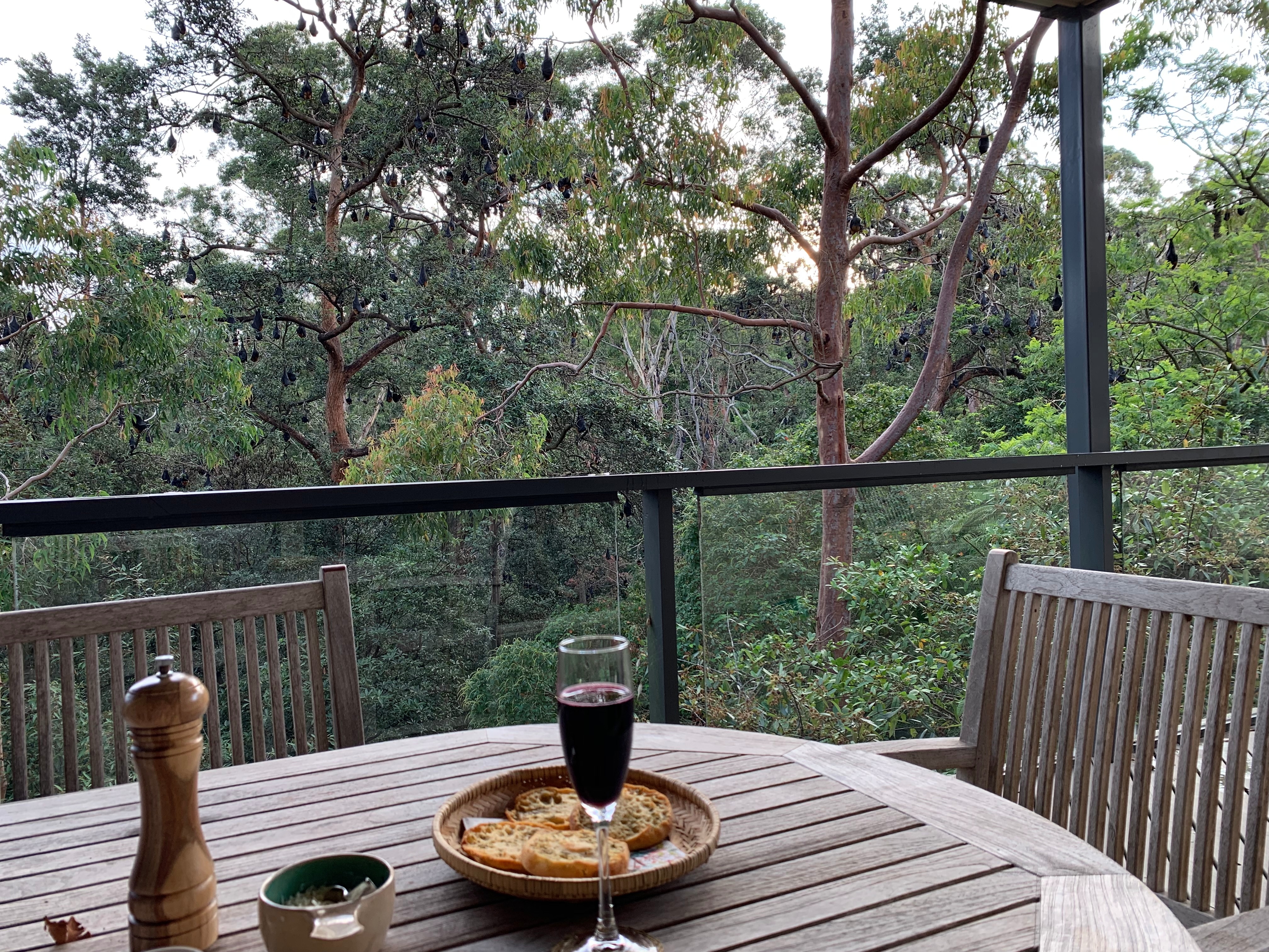 Una mesa en un balcón con una copa de vino tinto y un poco de pan encima con murciélagos colgando de los árboles.