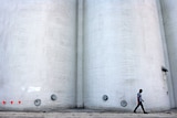 Guido van Helten and Coonalpyn silos