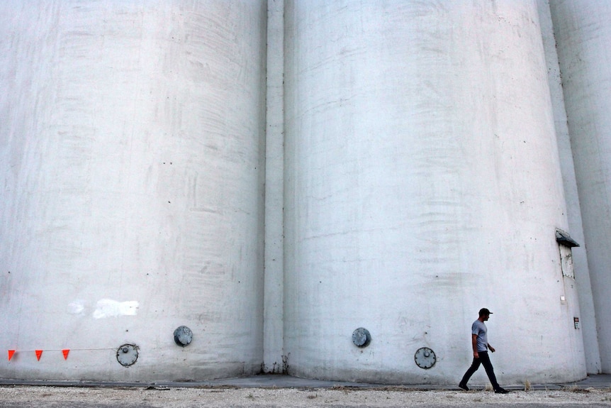 Guido van Helten and Coonalpyn silos