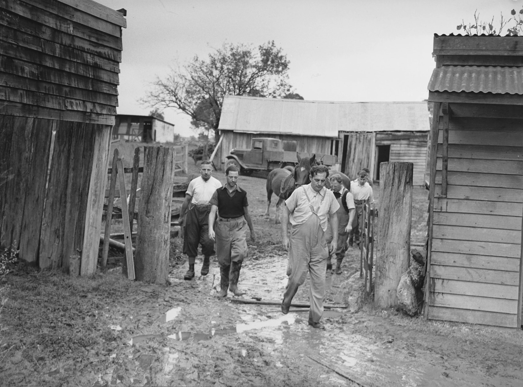 An archival black and white image of five Jewish men on a farm, doing farming duties.