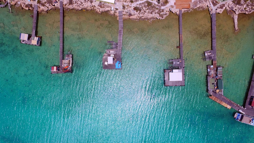 A photo of Pigeon Island rock lobster fishing jetties taken from the air