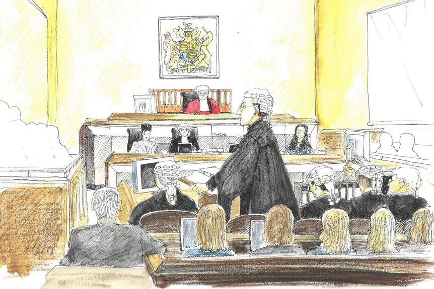 A courtroom sketch artist's impression of the Snowtown murder trial.
