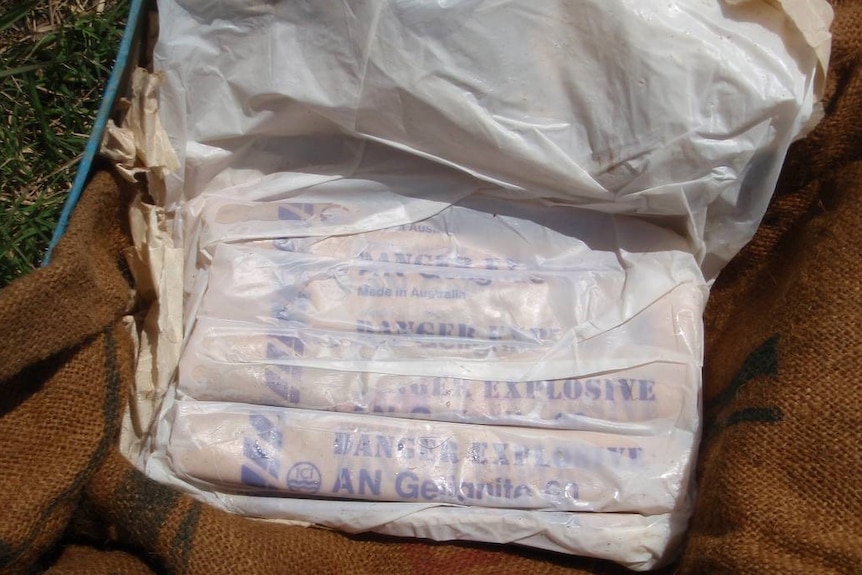 A plastic bag stuck to the inside contents, which can been seen as multiple sticks of dynamite with gelignite written on them.
