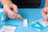 A person holding a Rapid Antigen Test on a blue desk