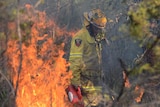 A Qld fire fighter back-burns on Bribie Island