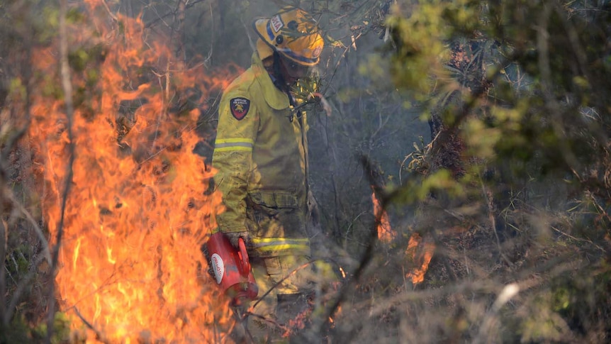 A Qld fire fighter back-burns on Bribie Island