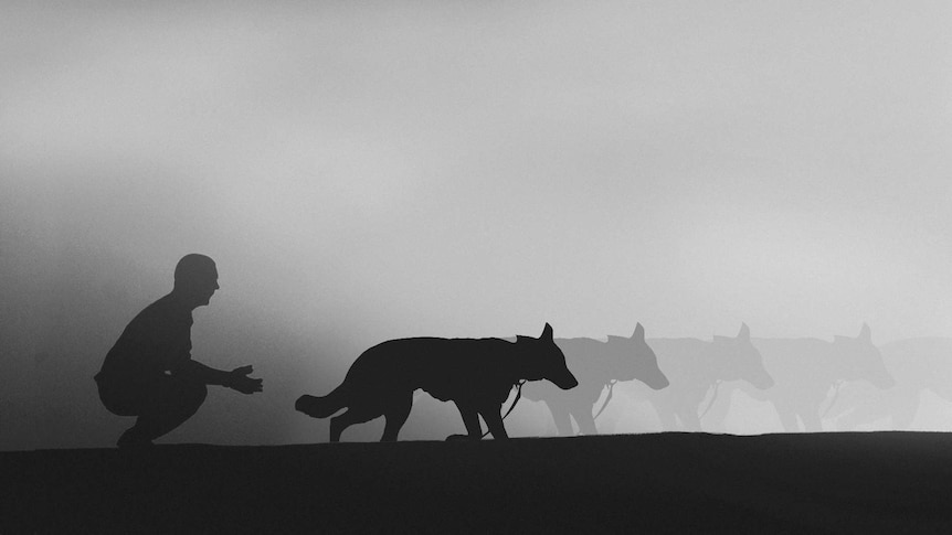 Illustration of shadow of man and his dog walking away representing the experience of putting down a pet dog.