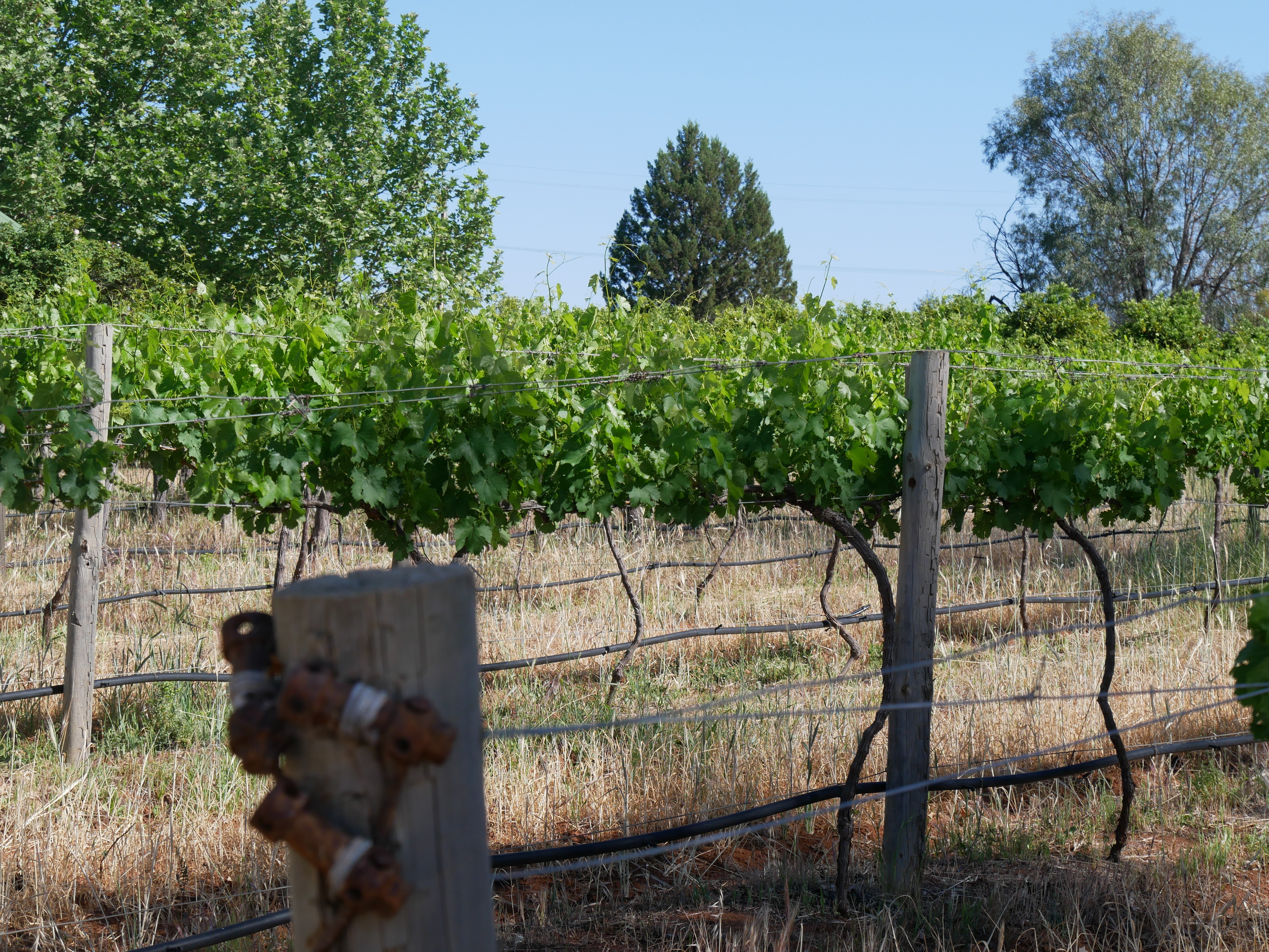 Multi-million-dollar fund for SA farming help not used for a decade