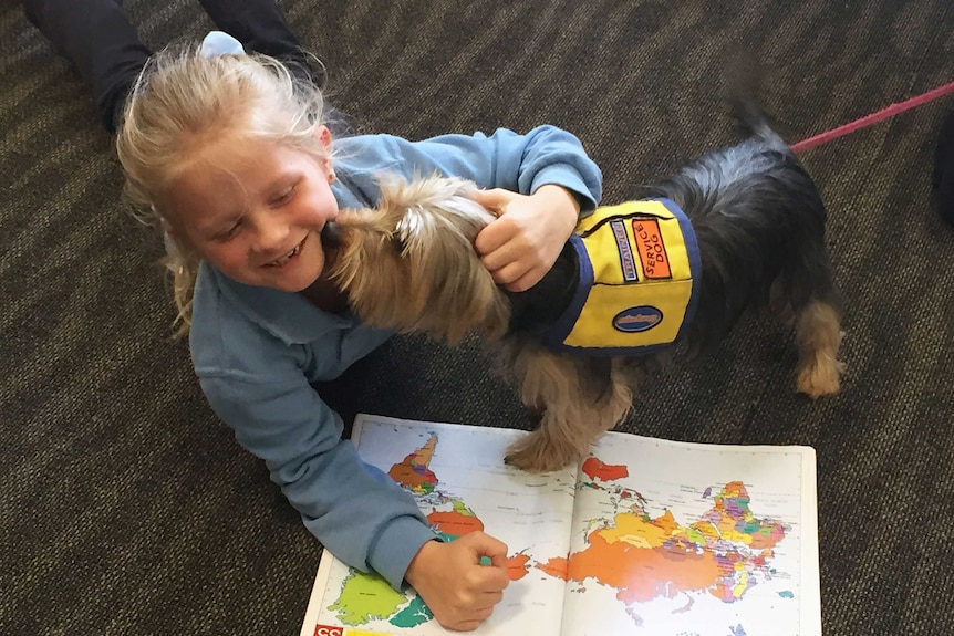 Service dog Molly licks one of her owners