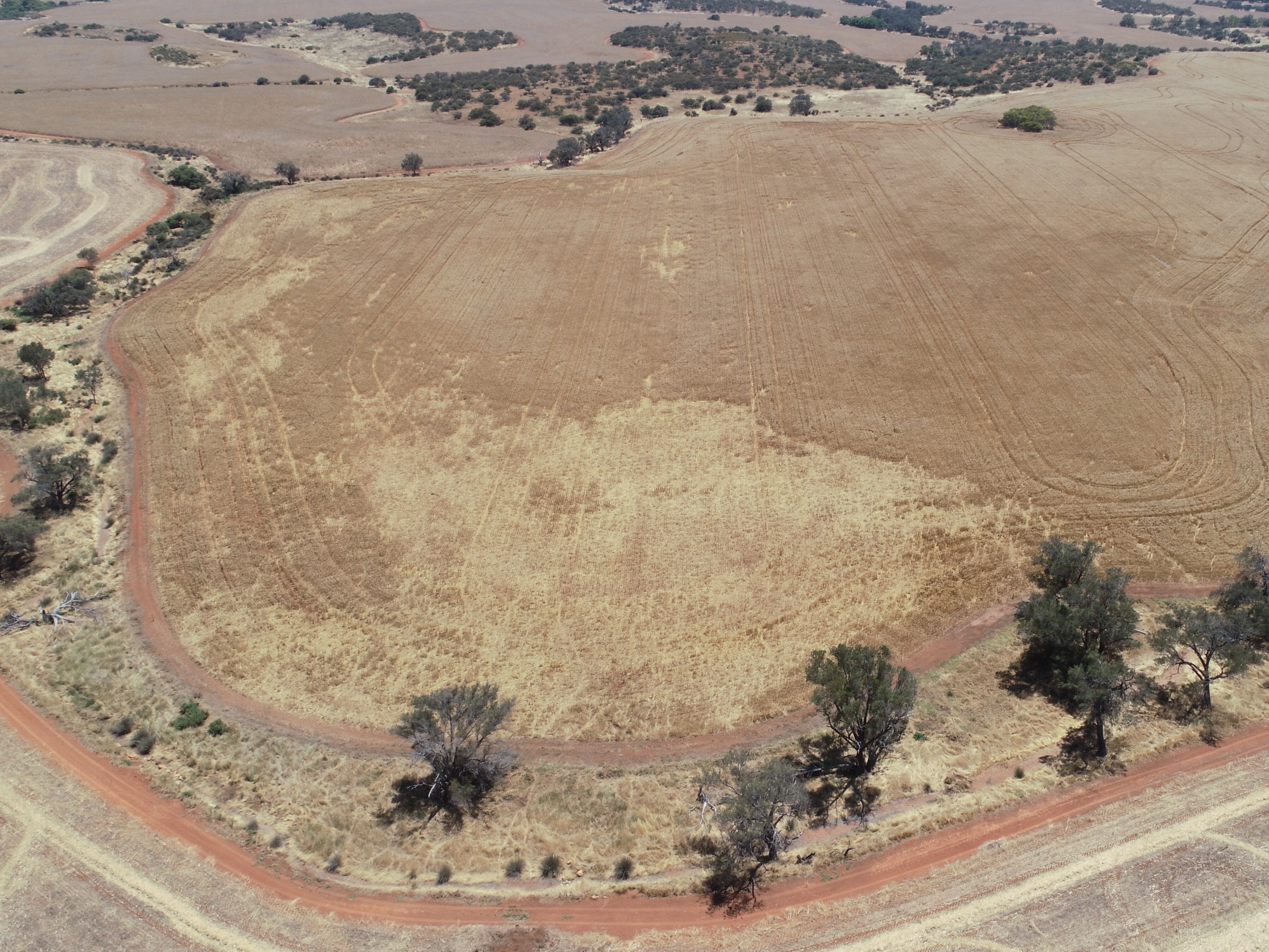 Aerial shot of a paddock with damaged crops.