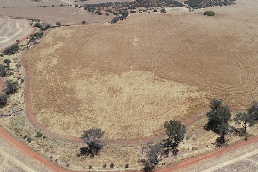 Aerial shot of a paddock with damaged crops.