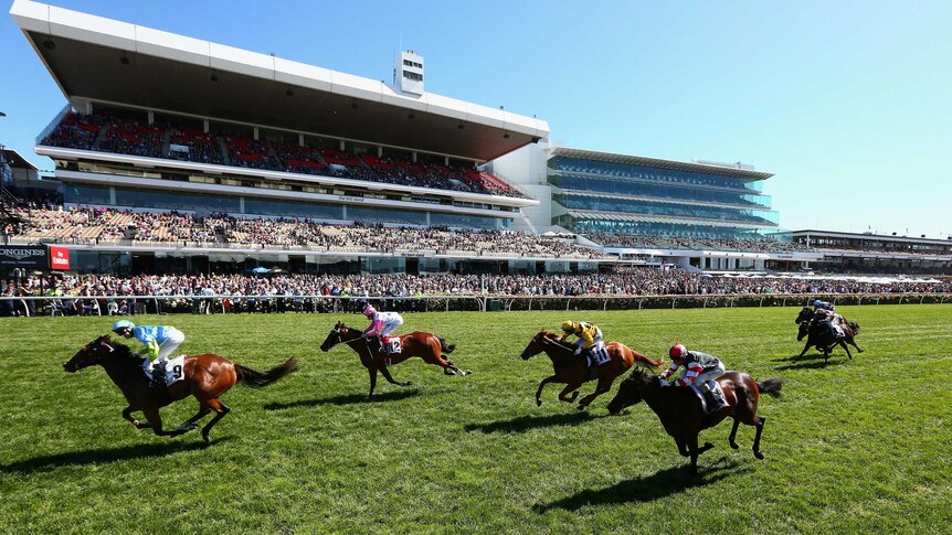 Oakleigh Girl wins race one at Flemington racecourse on Melbourne Cup day.