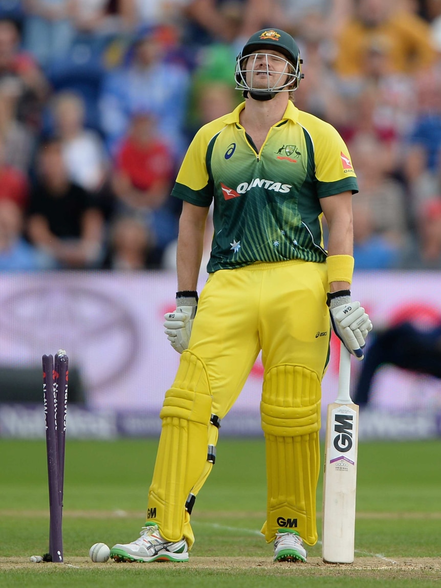 Shane Watson reacts as he is bowled in T20, Aug 31 2015