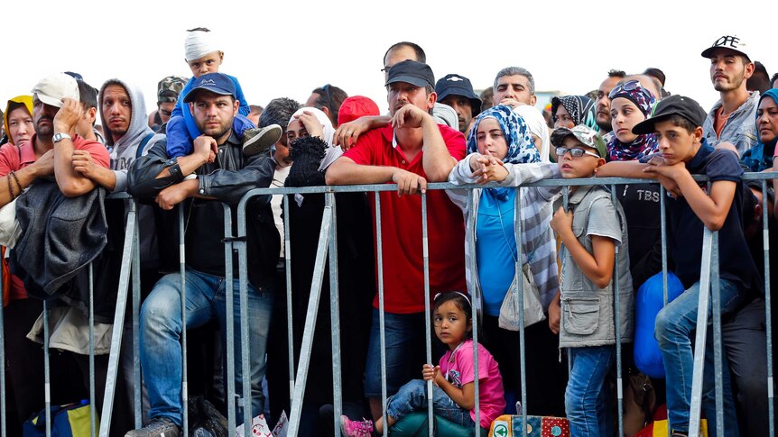 Migrants wait at fence on border