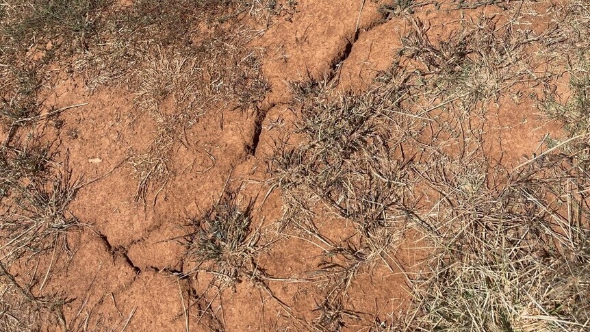 close up of cracked brown soil