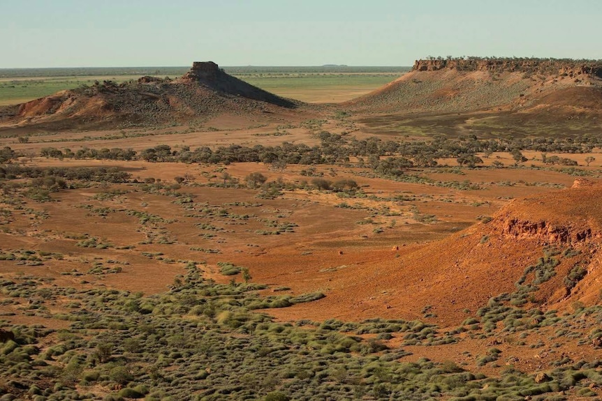 The landscape of Pullen Pullen reserve, it is arid with orange soil, mountains and a few trees are in the landscape.