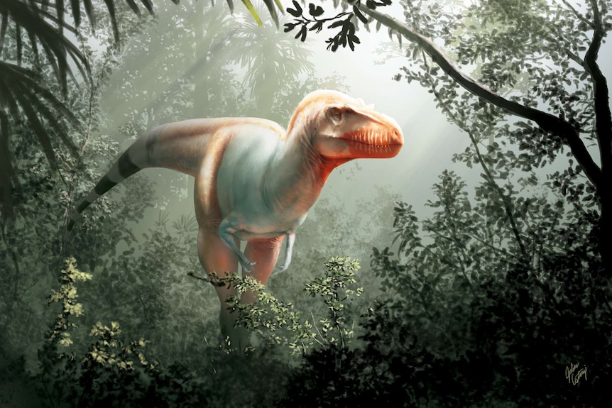 An illustration shows the new species of tyrannosaur with a red face and stripped tail.