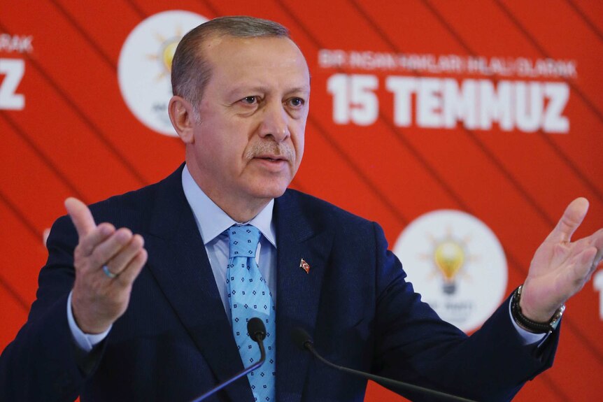 Erdogan addresses supporters in Ankara