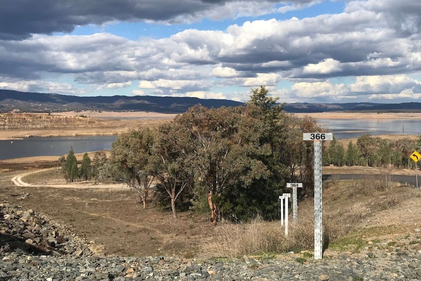 Water level marker and tree covered roadway down to a dam with a depleted storage of water.